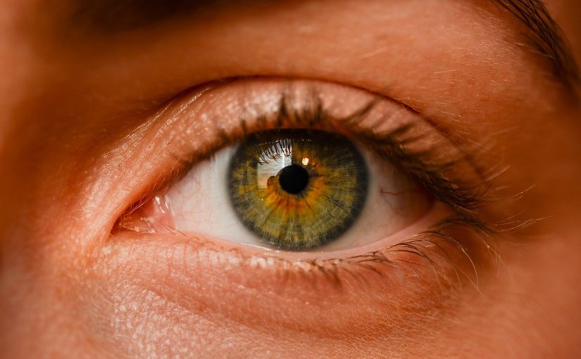 Oczy to charakterystyczny organ. To naturalnie dzięki nim widzimy.